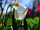 April 2023