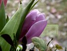 March 2013