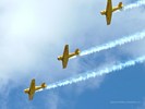 Canadian Harvards In Flight