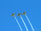 Canadian Harvards In Flight