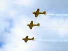 Canadian Harvards In Flight