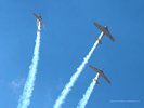 Canadian Harvards In Flight