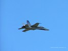 Royal Canadian Air Force CF-18 Hornet