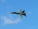 Royal Canadian Air Force CF-18 Hornet