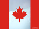Canadian Flag with Niagara Falls Background