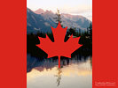 Canadian Flag with Alberta Background