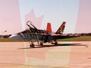 CF-18 Hornet - Demo Team 2003 - Royal Canadiana Air Force (RCAF)