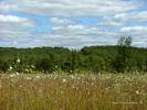 Countryside near Chesley