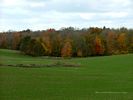 Fall Landscape near the Town of Fairview - Ontario Canada