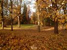 Park in Autumn