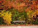 Park Bench in Autumn