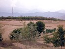 Farm Fields in Kashmir, India