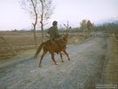 Horse Rider in Kashmir, India