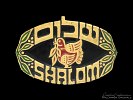 Shalom Peace