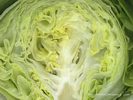 iceburg lettuce