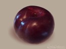 One Red Plum