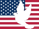 USA Flag (Peace Dove)