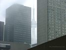 Foggy Day in Downtown Toronto