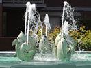 Water Fountain