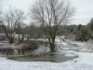 Nanticoke River Bank in Spring