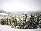 Snow covered ski trail