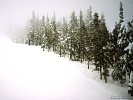 Snow covered ski trail