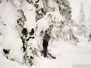 Skiing in British Columbia, Canada