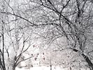 Winter in British Columbia, Canada
