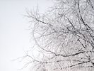 Winter in British Columbia, Canada