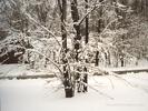 Winter in Hudson, Quebec, Canada