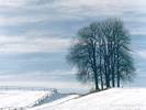 Winter Landscape