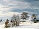 Winter Landscape