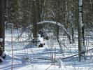 Snow Burden