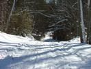Winter Path