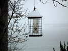 The First Snow Storm - Bird Feeder